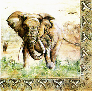 Dinus Elephants