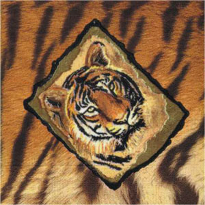 Dinus Tiger